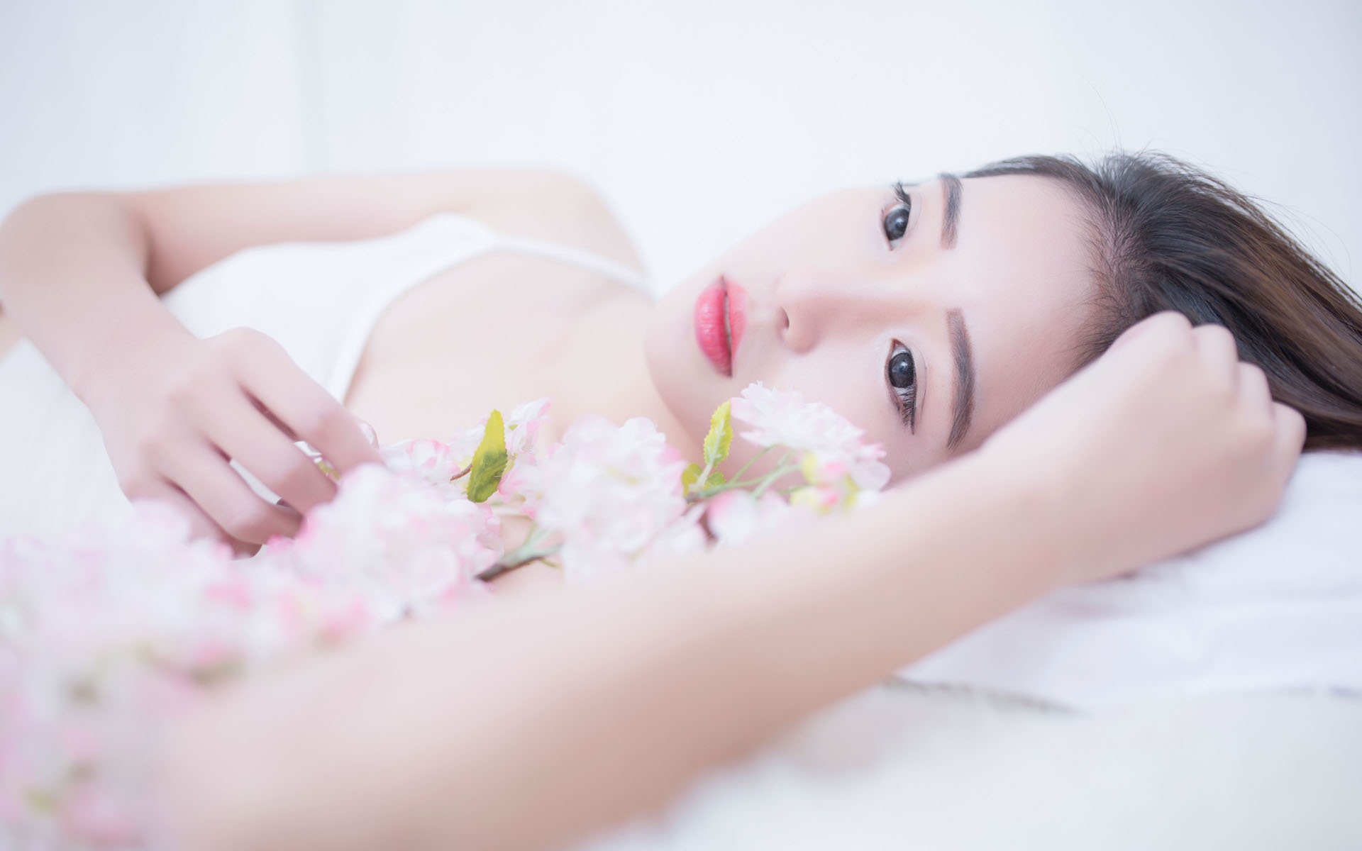 云南普洱亚洲象组团觅食 多部门加强监测